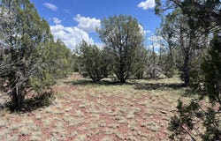 4519 N Centerline Boulevard, Ash Fork, AZ 86046
