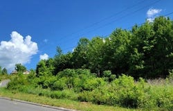 Hardin Road 74, Dunlap, TN 37327