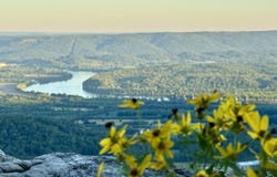 Hovering Hawk Drive lot: Rb42, Jasper, TN 37347