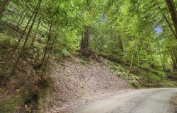 0 Pringle LN, SOQUEL, CA 95073