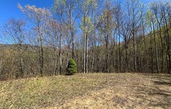 359 Loon Lane, Whittier, NC 28789