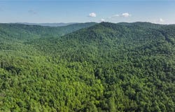 Boone Trail, Purlear, NC 28665
