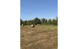 Prospect Road, Nettleton, MS 38858