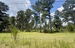 County Road 33, Ashford, AL 36312
