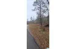 511 LAKEVIEW CIRCLE lot: 0, HARPERSVILLE, AL 35078