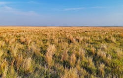 County Road, Sharon Springs, KS 67761