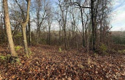 Dogwood Drive, Omaha, AR 72662