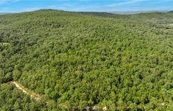 80 ac lot Madison 2750, Huntsville, AR 72740
