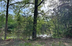 Front Street, Pine River, MN 56474