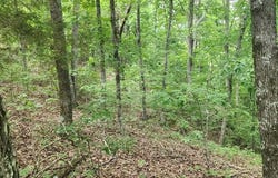 id13 Lakeview Trail, HOLLADAY, TN 38341