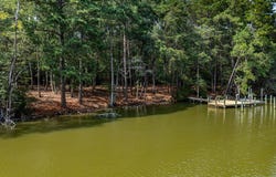 Holly Harbor Road lot: 5, REEDVILLE, VA 22539
