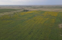11049 230th Avenue, Watauga, SD 57660