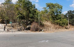 Vine, Paso Robles, CA 93446