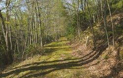 Black Ridge Road, Floyd, VA 24091