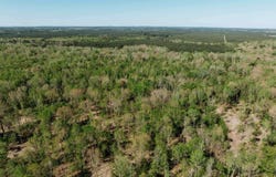 167 Highway, Fordyce, AR 71742
