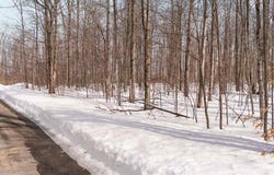 TBD S BLACK ROCK, HARBOR SPRINGS, MI 49740