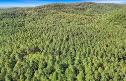 14 AC CHICOT Trail, Bismarck, AR 71929
