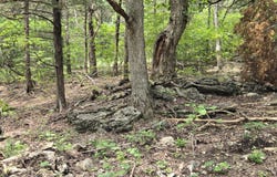 001 76-126, Norwood, MO 65717