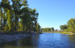 389 Wrangler LN, Challis, ID 83226