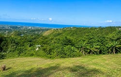 Malezas, Mayaguez, PR 00682