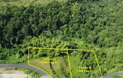 Magueyez, Corozal, PR 00783