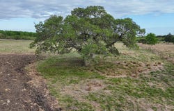 2077 E State Hwy 237, Round Top, TX 78954