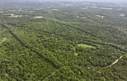 Center Ridge, AR 72027