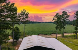 Highway 331, Dozier, AL 36028