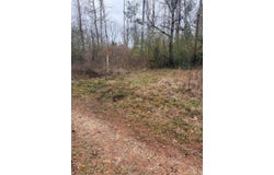 Jack Road, Braxton, MS 39044