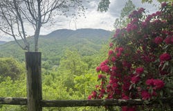 174 Doty Road, Roan Mountain, TN 37687