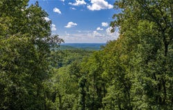 130 Raptor Way, Landrum, SC 29356
