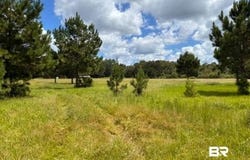 Boros Road, Elberta, AL