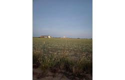 1 County Road M, New Home, TX 79383