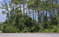 Nine Mile Road, Newport, NC 28570