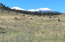 1263 23rd Trail, Cotopaxi, CO 81223