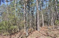 W State Hwy 3, Ringold, OK 74754