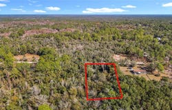 7241 Sonia Avenue, Webster, FL 33597