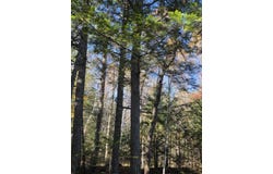 casey Road, Herseytown Twp, ME 04733