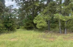 150 TERRELL LANE, Calhoun, LA 71225