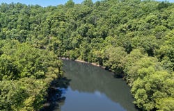 COUNTY ROAD 3905, Arley, AL 35541