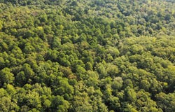 Casey Road, Malvern, AR 72104