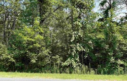 Heath Rd, Potsdam, NY 13676