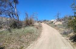 Telesco, Caliente, CA 93518