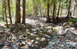 2216 Mosquito Creek Rd, Clark Fork, ID 83811