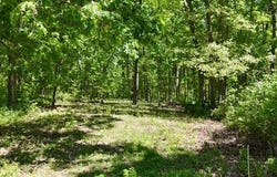 Phase 3 Lot 38 Big Buck Run, Moravia, IA 52571