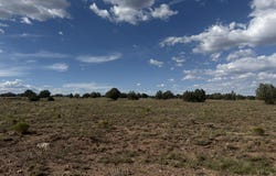 59ne Rocky Rabbit Road, Ash Fork, AZ 86320