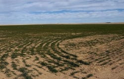 CO RD A, Cheyenne Wells, CO 80810