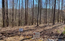 Rambling Creek Road, Tryon, NC 28782