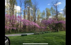 9700 N Bowman Road, Gosport, IN 47433