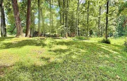 Joy Drive, Sullivan, IN 47882